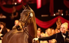 La 6 anni Chyazint venduta all’asta P.S.I. per la cifra record di 4.000.000 €