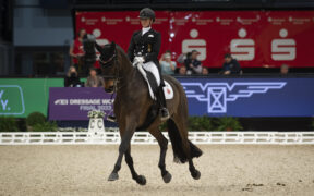 La FEI introduce una maggiore flessibilità sulle regole del congedo di maternità e malattia