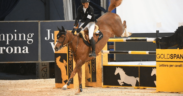 Longines FEI Jumping Ranking, von Eckermann al top per il 5° mese consecutivo 1
