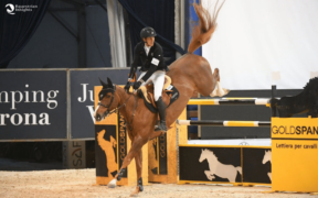 Longines FEI Jumping Ranking, von Eckermann al top per il 5° mese consecutivo 1