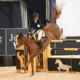 Longines FEI Jumping Ranking, von Eckermann al top per il 5° mese consecutivo 1