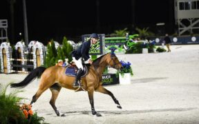 NEWS Grand Prix internazionali: ecco i podi (#week 49)