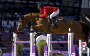 Top Jumping Horses: Contagius 1