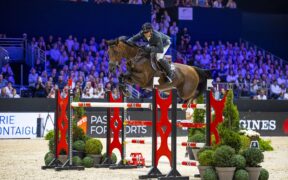 Caracole de la Roque, Andiamo e Spacecake cambieranno nazione e cavaliere