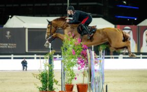 E’ di Emanuele Gaudiano la vittoria nel Grand Prix di Abu Dhabi (CSI5*)