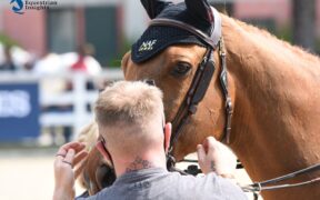 EEF e IGA rafforzano la loro collaborazione