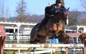 Gran Premi Nazionali a 5*: ecco i podi 2