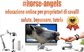 Horse Angels