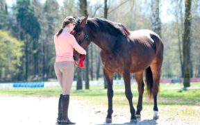 "Le cartable de Rico": Pet therapy / ippoterapia per aiutare gli adolescenti con disturbi cognitivi