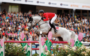 Lo stallone Chardonnay inizierà la carriera riproduttiva nelle strutture di Paul Schockemöhle