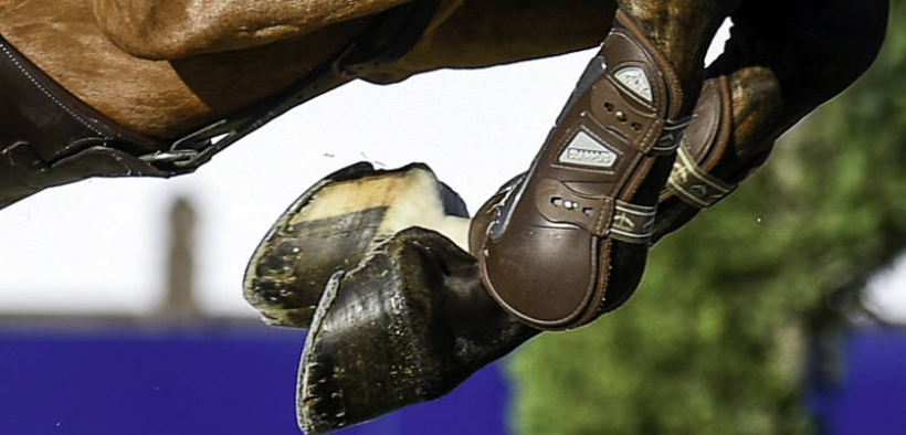 Riepilogo nuove regole e regolamenti FEI 2023