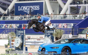 Top Jumping Horses: Dominator 2000 Z 2