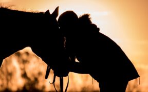 I benefici dell’ ippoterapia per coloro che soffrono di disturbo da uso di sostanze