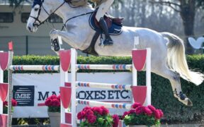 Alberto Zorzi in evidenza nella gara grossa di Gorla Minore (CSI2*)