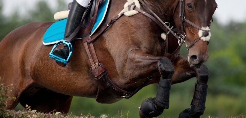 Completo: aggiornate le regole FEI per il 2023