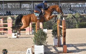 Giulia Martinengo sul terzo gradino del podio del Grand Prix di San Giovanni in Marignano, a vincere è stato Niklaus Rutschi (CSI2*)