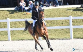 Gran Premi Nazionali A5*: ecco i podi 4