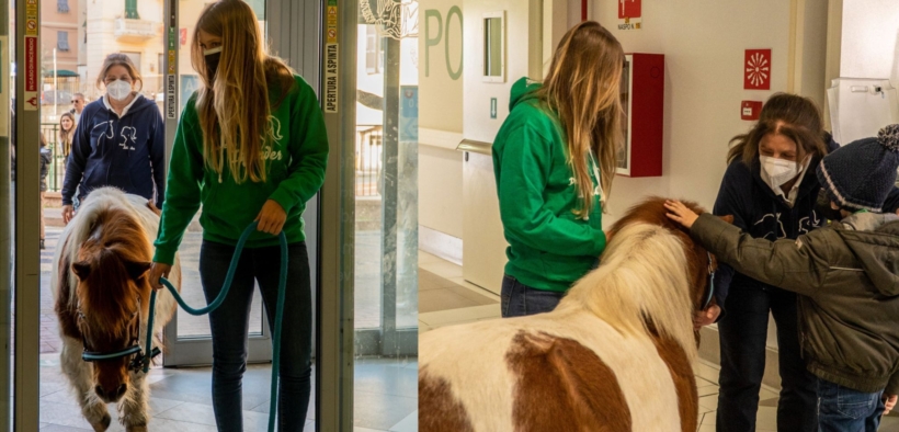 Il pony Arturo dell’Ass. Progetto Islander "visita" i piccoli pazienti del Gaslini di Genova