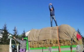 La Ukrainian Equestrian Charity Foundation lancia una nuova campagna di aiuti