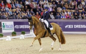 Skodborg Merrald e Zepter regnano sovrani nella FEI Dressage World Cup™ di Neumünster