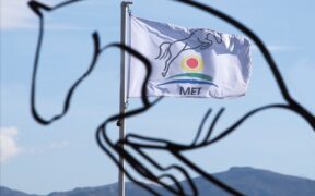 Aggiornamento dal MET di Oliva Nova; i primi cavalli stanno lasciando la struttura