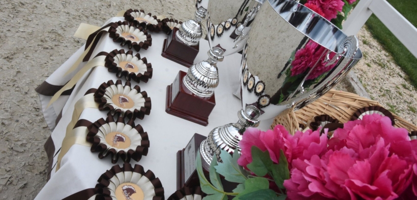 CSIO giovanile e pony di Gorla Minore (VA), tutto è pronto: ecco i dettagli 2