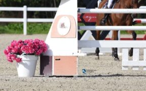 CSIO giovanile Gorla Minore: ecco le squadre azzurre convocate