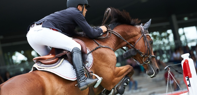 Emanuele Camilli sfiora la vittoria nel Grand Prix di Vejer de la Frontera (CSI2*)