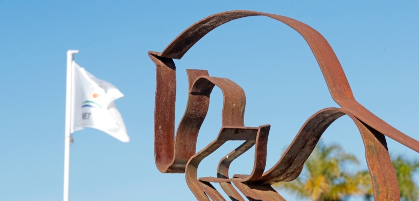 Gli ultimi cavalli hanno ottenuto il via libera per lasciare il Centro Ecuestre Oliva Nova