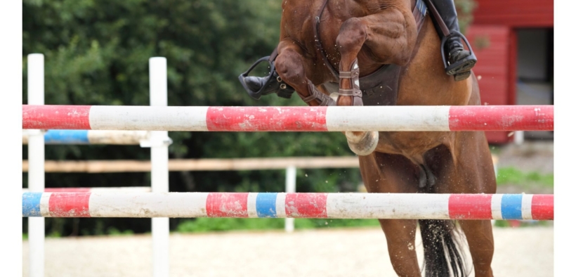 Il caso contro Ludger Beerbaum è stato archiviato