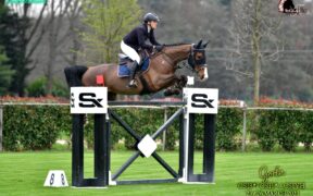 Ludovica Minoli in evidenza nella Ranking 150 di Gorla Minore (CSI3*)