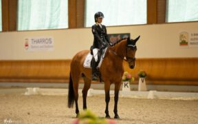 Paradressage: gli azzurri in evidenza al CPEDI di Ornago