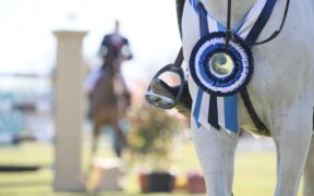 Toscana Tour ed Italian Champions Tour, ad Arezzo il gotha dell'equitazione mondiale