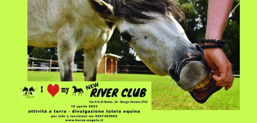 Open Day divulgazione tutela equina al New River Club 1