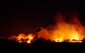 Un incendio ha colpito nuovamente le scuderie di Paul Schockemöhle