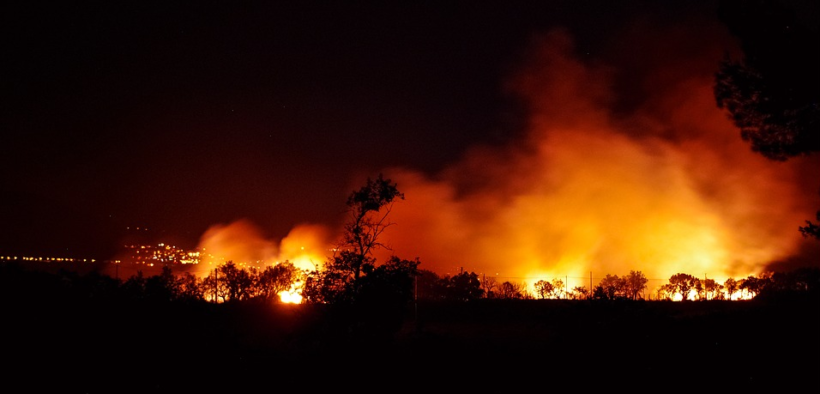 Un incendio ha colpito nuovamente le scuderie di Paul Schockemöhle