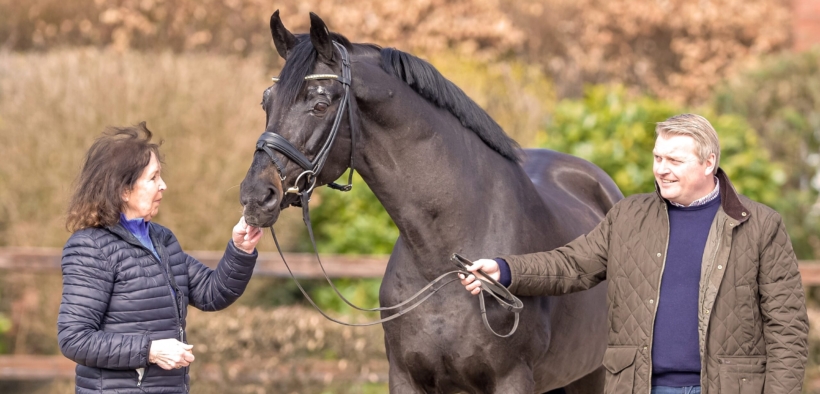 Dressage: E' mancato lo stallone Rubin Royal OLD