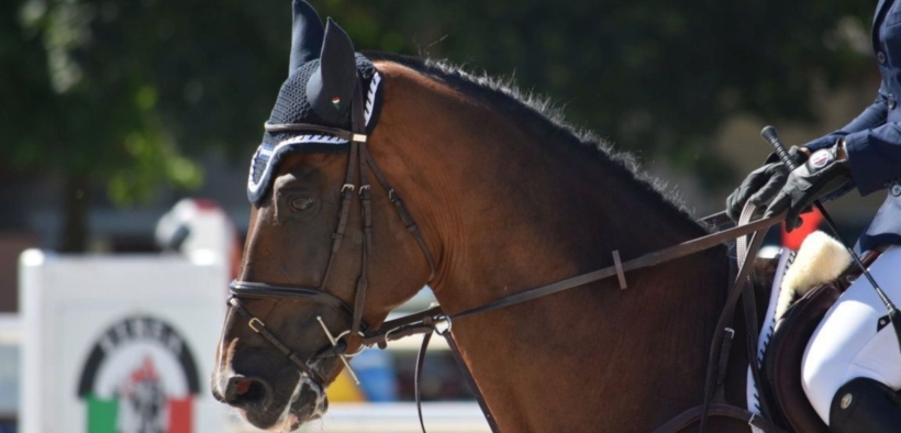 Gran Premi Naz. A5*: ecco i podi 13