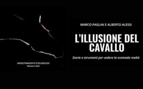 Una realtà ancora più scomoda - Confessioni di un cavaliere fallito