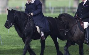 A Siena uno dei purosangue della Regina Elisabetta