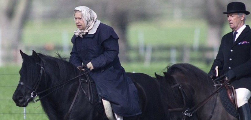 A Siena uno dei purosangue della Regina Elisabetta