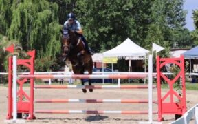 All'Horses Riviera Resort i Campionati d’Europa Ambassador for Veterans 2024 e 2025