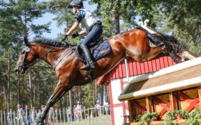 Completo: Italia quinta in Coppa a Millstreet. Azzurri in evidenza con vittorie e piazzamenti