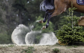 Completo: Italia quinta nella FEI Nations Cup di Strzegom