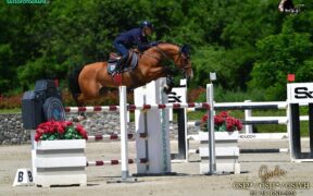 Giulia Martinengo firma il Grand Prix di Gorla Minore (CSI2*)