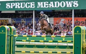 Grand Prix Internazionali: ecco i podi (week #24)