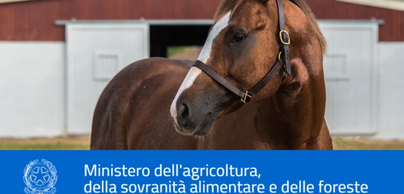 Il Mipaaf diventa Masaf: ecco le competenze della direzione generale