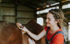 La FEI ha lanciato un nuovo meccanismo di rapporto per i groom 2