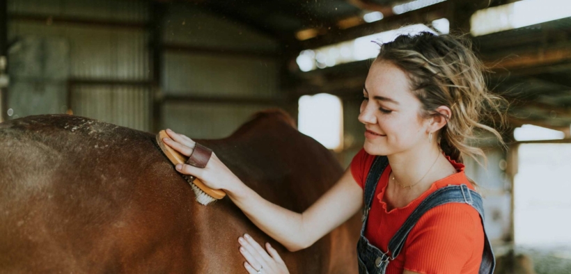 La FEI ha lanciato un nuovo meccanismo di rapporto per i groom 2