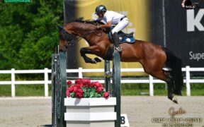 Licinio Grossi e Nanette si aggiudicano la gara “grossa” di Gorla Minore (CSI2*)